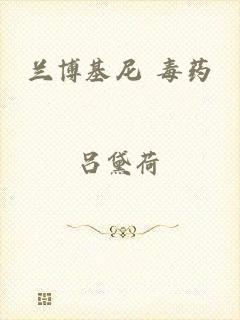 兰博基尼 毒药